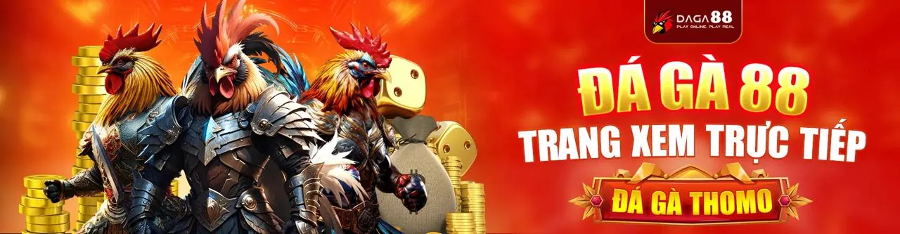 Đá gà trực tuyến kịch tính tại xoc88 casino