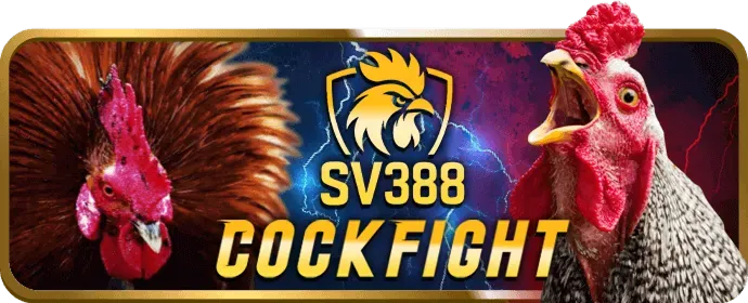 Chương Trình VIP & Phần Thưởng Độc Quyền xoc88 casino